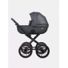 Коляска 2 в 1 Riko Basic Montana X Ecco Prestige 24 Graphite